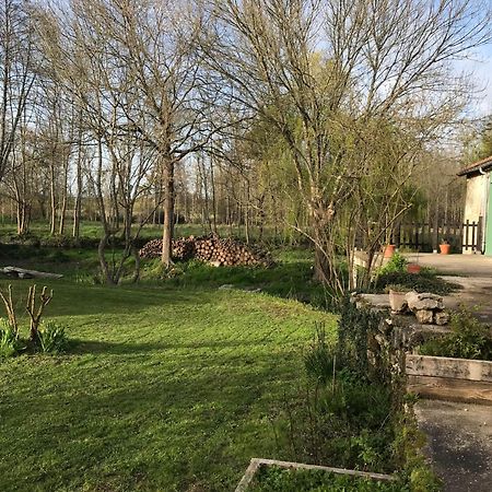 Mosnac Ancien Moulin A Eau Sur La Seugneアパートメント エクステリア 写真